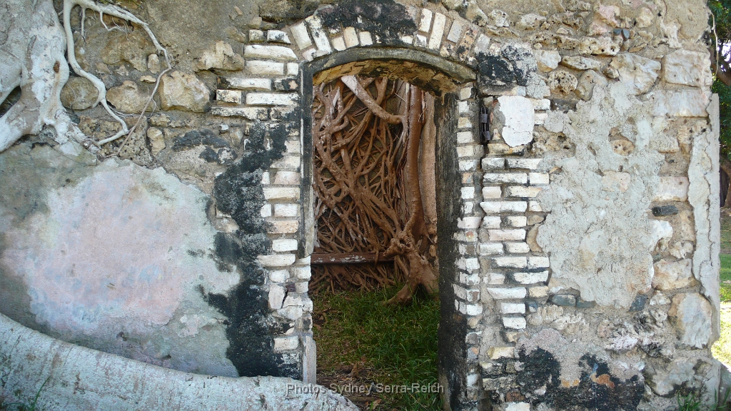 a Plum  Les racines du banian dans la maison en ruine.JPG - A Plum, les racines du banian dans la maison en ruine. Août 2014